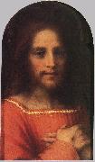 Andrea del Sarto Christ the Redeemer ff Germany oil painting reproduction